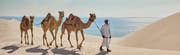 Qatar Tourism – Offizielle Website