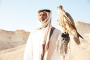 Katar’ın milli kuşu şahin