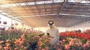 Expo 2023 Doha | Expo d’horticulture du Qatar