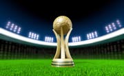 Copa Asiática de la AFC 2023 en Catar | Entradas e información