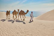 Safari dans le désert du Qatar