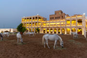 12 things to do in Souq Waqif