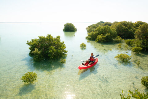 The water | Visit Qatar